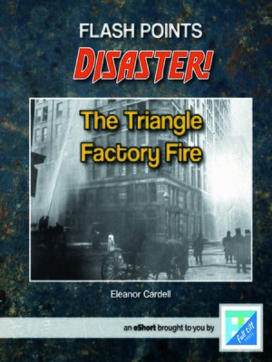 cover image of The Triangle Factory Fire
